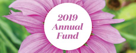 2019 Annual Fund