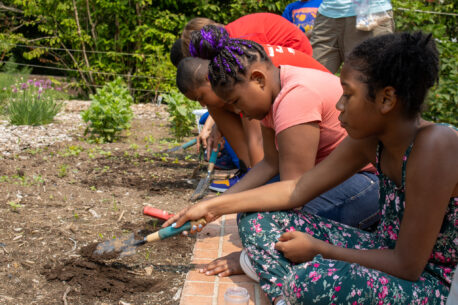 Three children digging in garden dirt with hand tools.