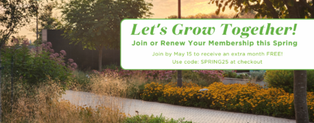 Carousel graphic template for Bonsai Weekend with abstract floral elements in pink, orange, and green on a cream background.